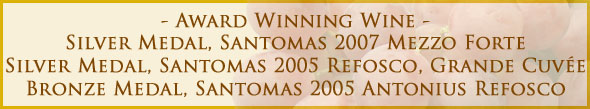 graphic-award3-winning-wine-santomas